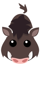 boar