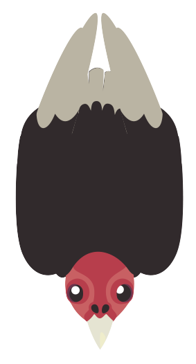 plane