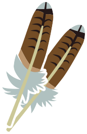 hawk feather