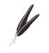 plane