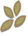 Wheat seed